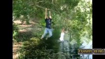 Funny video, Clip, Animal, Prank, Sport, Amazing (16)