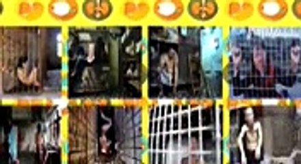 Top 5 Deep Web Stories