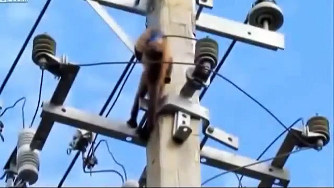 ▶ Poor monkey electrocution 50KW