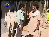 Dailymotion Pakistani Funny Video 3 a Funny video rel page 2 rel page 2 - YouTube