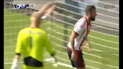 Steven Fletcher and Goal  for Sunderland