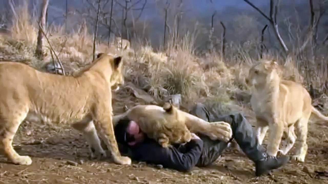 Kevin Richardson playing with Lions