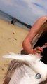 Une fille attrape un goéland à mains nues à la plage