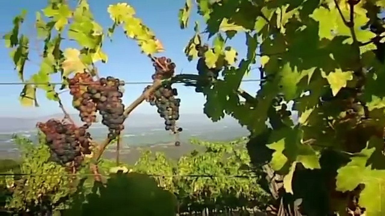 Oz & James's Big Wine Adventure - Santa Cruz [2 of 3]