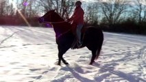Riding Horses in the Snow