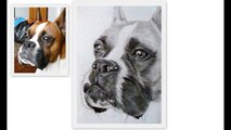 Pet Portraits - Pencil drawings from photos