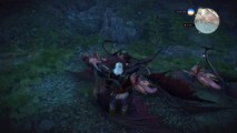 The Witcher 3: Wild Hunt Bug