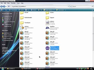 the godfather 2 black screen problem