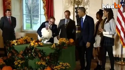 Barack Obama ‘ampunkan’ ayam belanda Thanksgiving