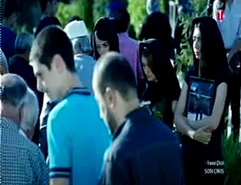 trt 7