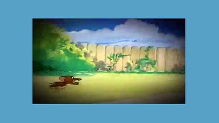 Tom And Jerry Cartoon - The Truce Hurts