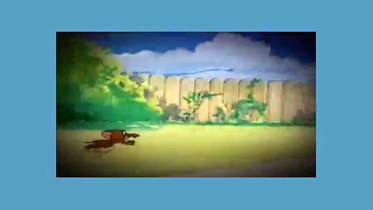 Tom And Jerry Cartoon - The Truce Hurts