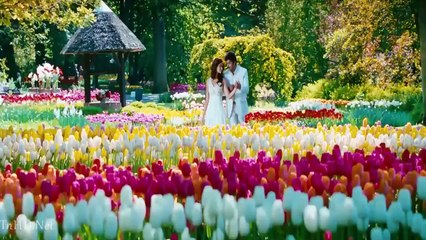 Asku Laska Bluray - Nanban HD