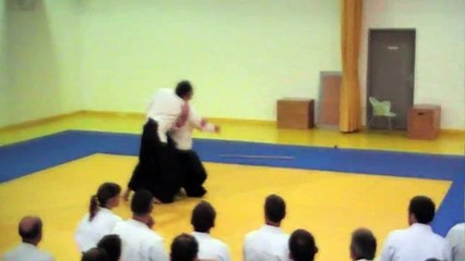 Rétrospective 2014-2015 Aïkikaï Varennes-Jarcy