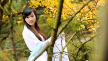 Relaxing music 2015   The Best Chinese Instrumental Music