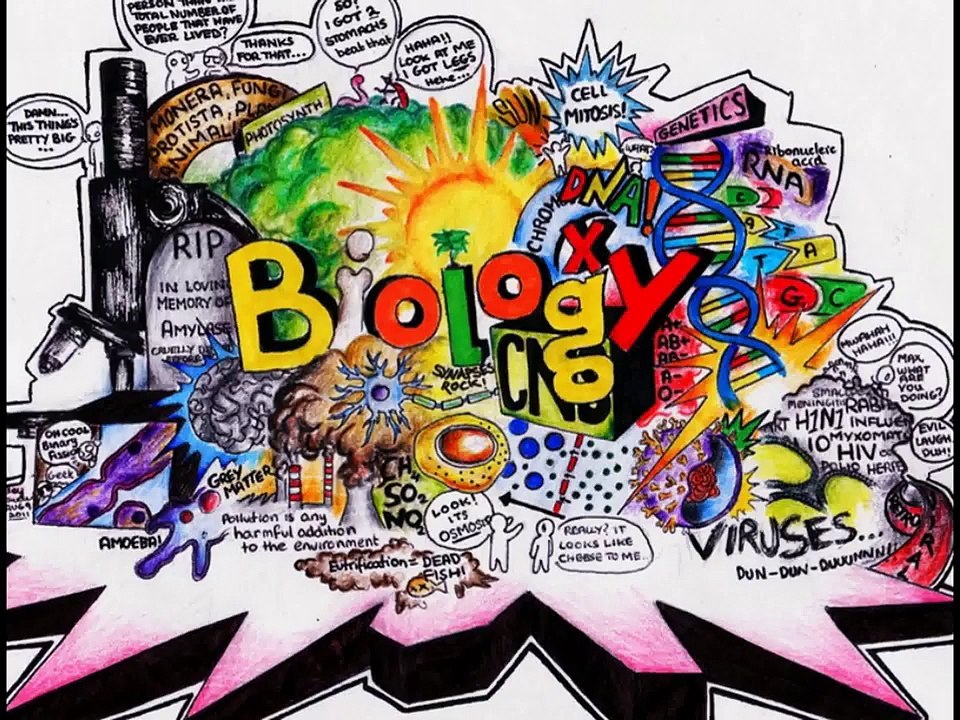 12 biology investigatory  project work