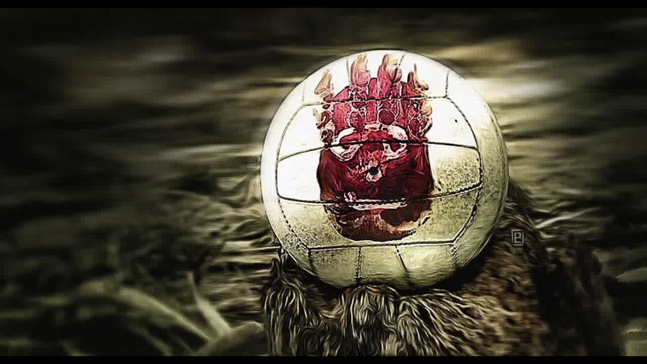 Cast Away - Wilson I'm sorry