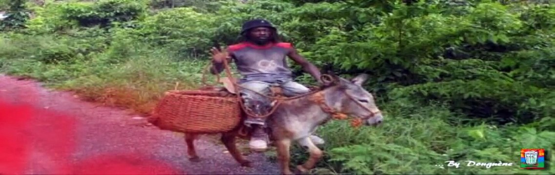 Alpha Blondy / Rasta Poué [1983]