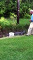 ***OFFICAL VIDEO*** Stacy NC  Alligator Attack Caught On Camera! ***OFFICAL VIDEO***