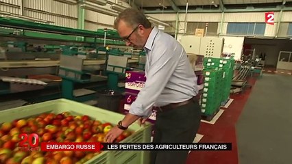 Embargo russe : les professionnels pris à la gorge