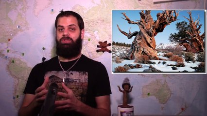 5 mots pour comprendre_ la datation (au Carbone, Potassium-Argon, Uranium-Thorium)