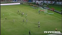 Santa Cruz 1 x 0 Botafogo - GOLS - Brasileirão  Série B