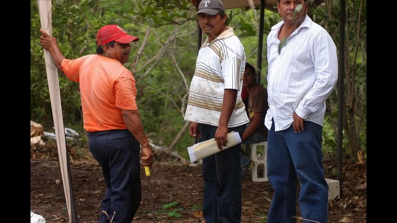 Templarios  asesinos de cocodrilos en areas naturales protegidas y U.M.A.