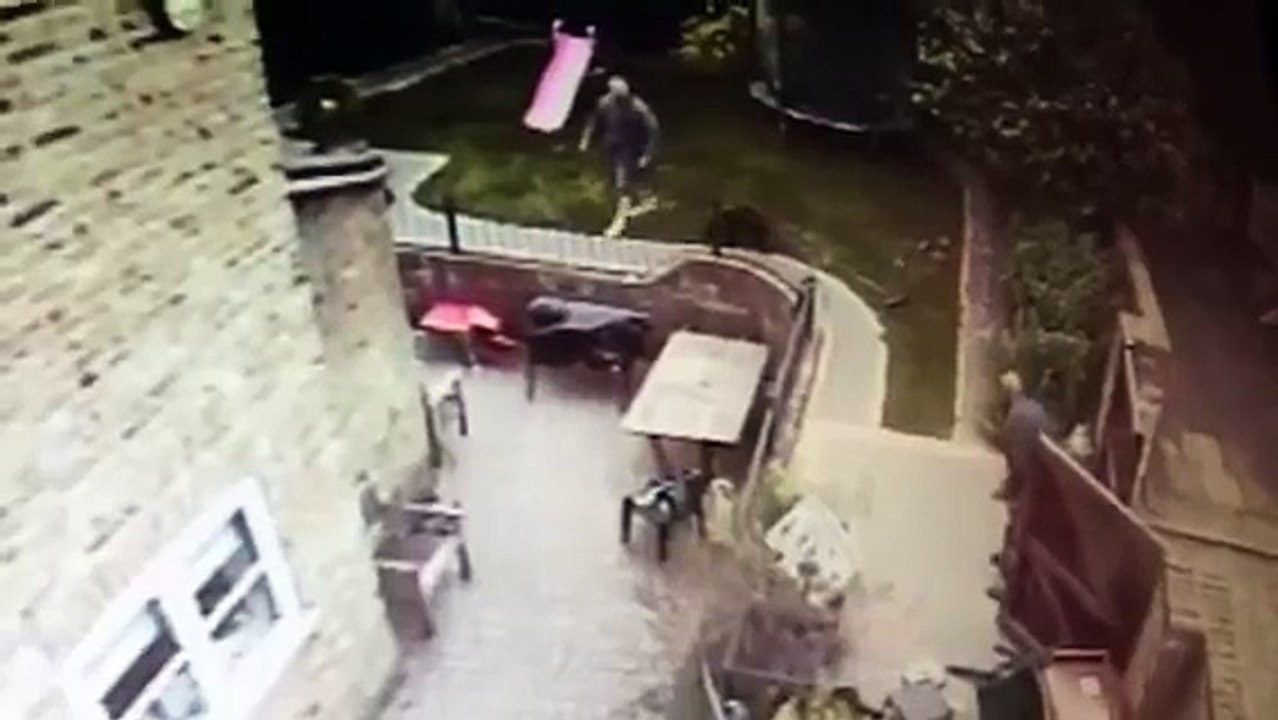 Dog attack