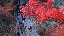 時空の栞　－京都清水寺ライトアップ2013－