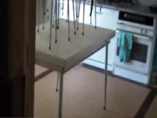 rencontre entre Tomtom & Nana  & Balto & Jenna