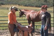 Parelli Saddles-Pat & Linda Parelli Introduction WESTERN Saddle
