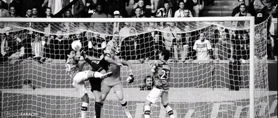 Zlatan Ibrahimovic - The Deadly Striker HD