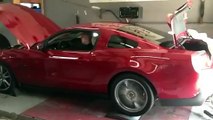 2011 Mustang GT 5.0 Nitrous Dyno Run