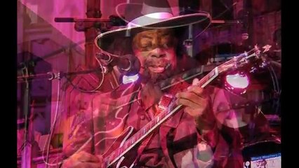 Son Seals ~ ''Going Back Home'' 1976