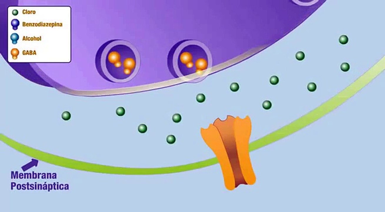 Mecanismo de acción del GABA