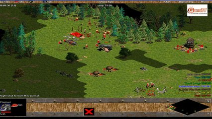 AOE GameTV Handsome vs AOEViet + meomeoclub 07 12 2013 C2T2