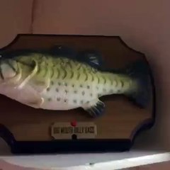 孟亨利 FUN FUN FUN - 會唱歌的魚