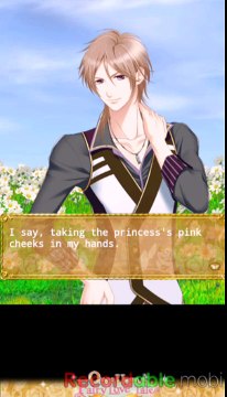 Once Upon a Fairy Love Tale: Lovely Doll [Elio's POV]