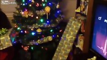 Lucky guy gets 2 lightsabers for christmas