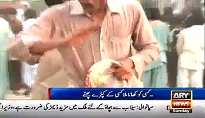 After Speech Of Kaptaan, Tigers Attacked Lunch