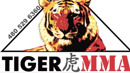 Az Tiger MMA Enshin Karate drills