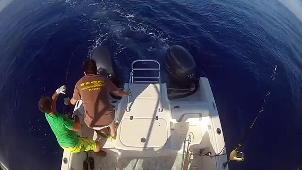 Ahi Fever 2015 HD