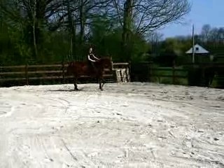 Moi et lulu