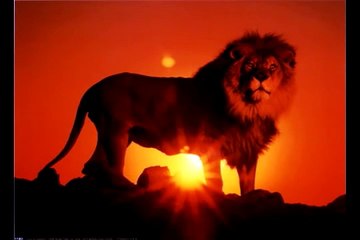 Rebelution - Heart like a lion (HQ and lyrics)