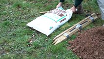 How to Plant a Tree : Planting Containerised Trees