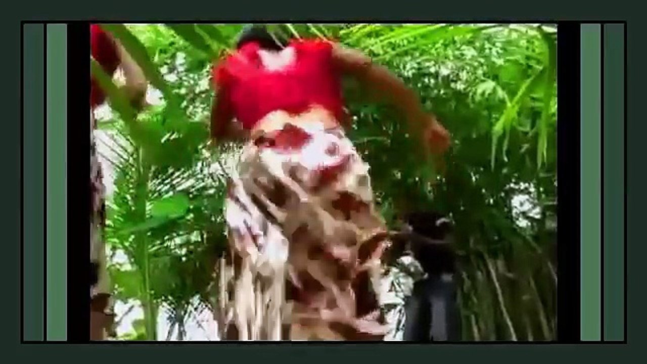 Ivory Coast - Dance Galore - Aesthetic Booty Dance - Mapouka Mania I