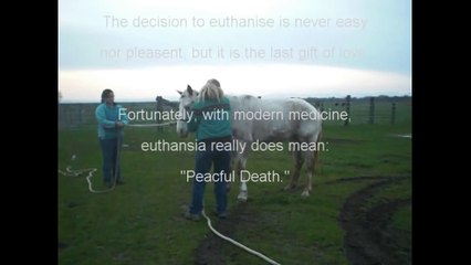 Horse Humane Euthanasia