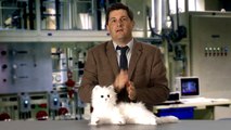 Guys Can Be Cat Ladies Too by Michael Showalter (Episode 4)