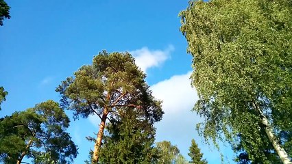 Fly IQ4515 Energy 1, тест камеры - Ветер