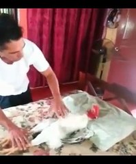 Nice murgha sweet and nice